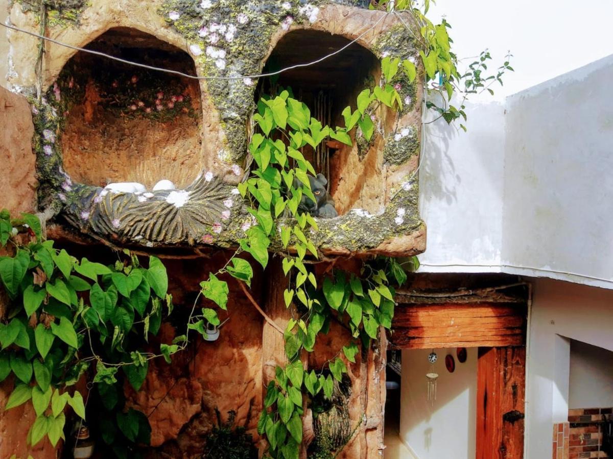 Hostal Solsticio Guajiro Риоача Экстерьер фото